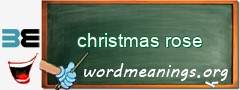WordMeaning blackboard for christmas rose